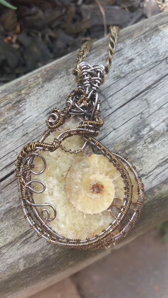 Ammonite Fossil Pendant