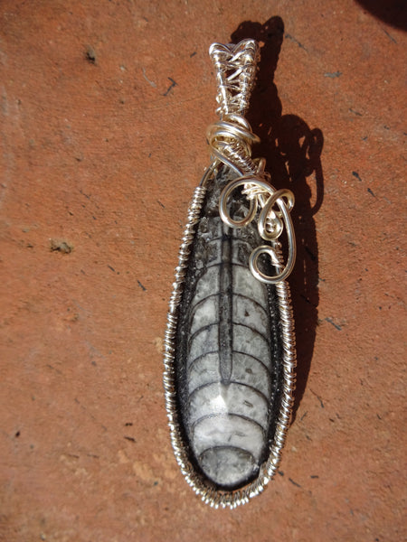 Orthoceras Sea Fossil Pendant