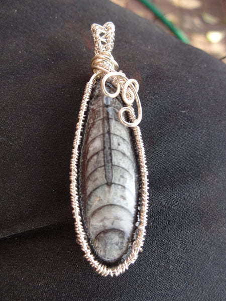 Orthoceras Sea Fossil Pendant